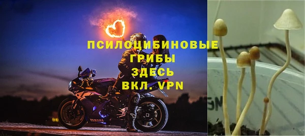 а пвп мука Аркадак