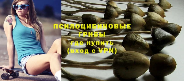 МДПВ Арсеньев