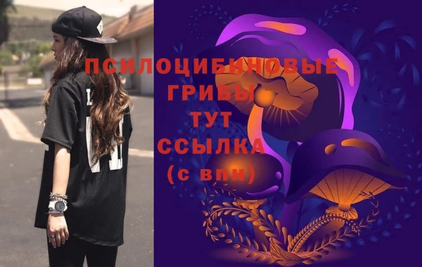 мдпв Зерноград