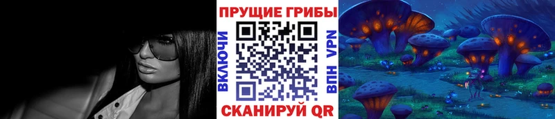 Псилоцибиновые грибы мицелий  Биробиджан 